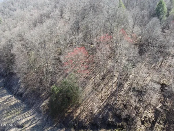 $110,000 | Tbd Bull Run Road, Coeburn, VA 24230