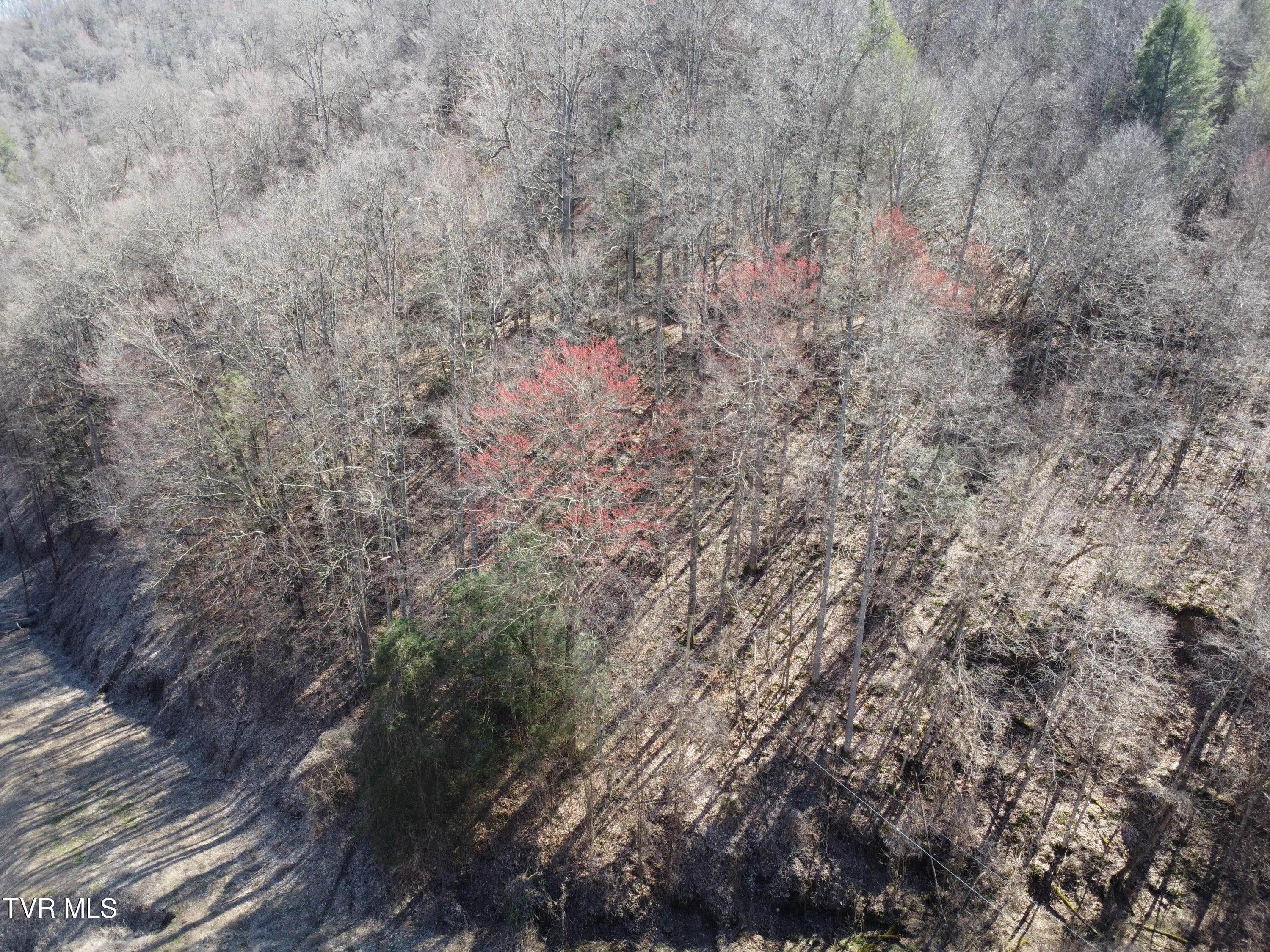 Tbd Bull Run Road Coeburn, VA 24230 - Photo 28 of 57 DJI_0592