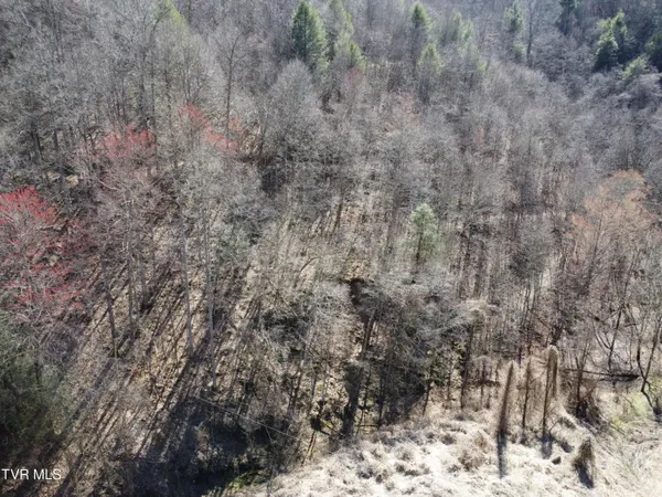 $110,000 | Tbd Bull Run Road, Coeburn, VA 24230