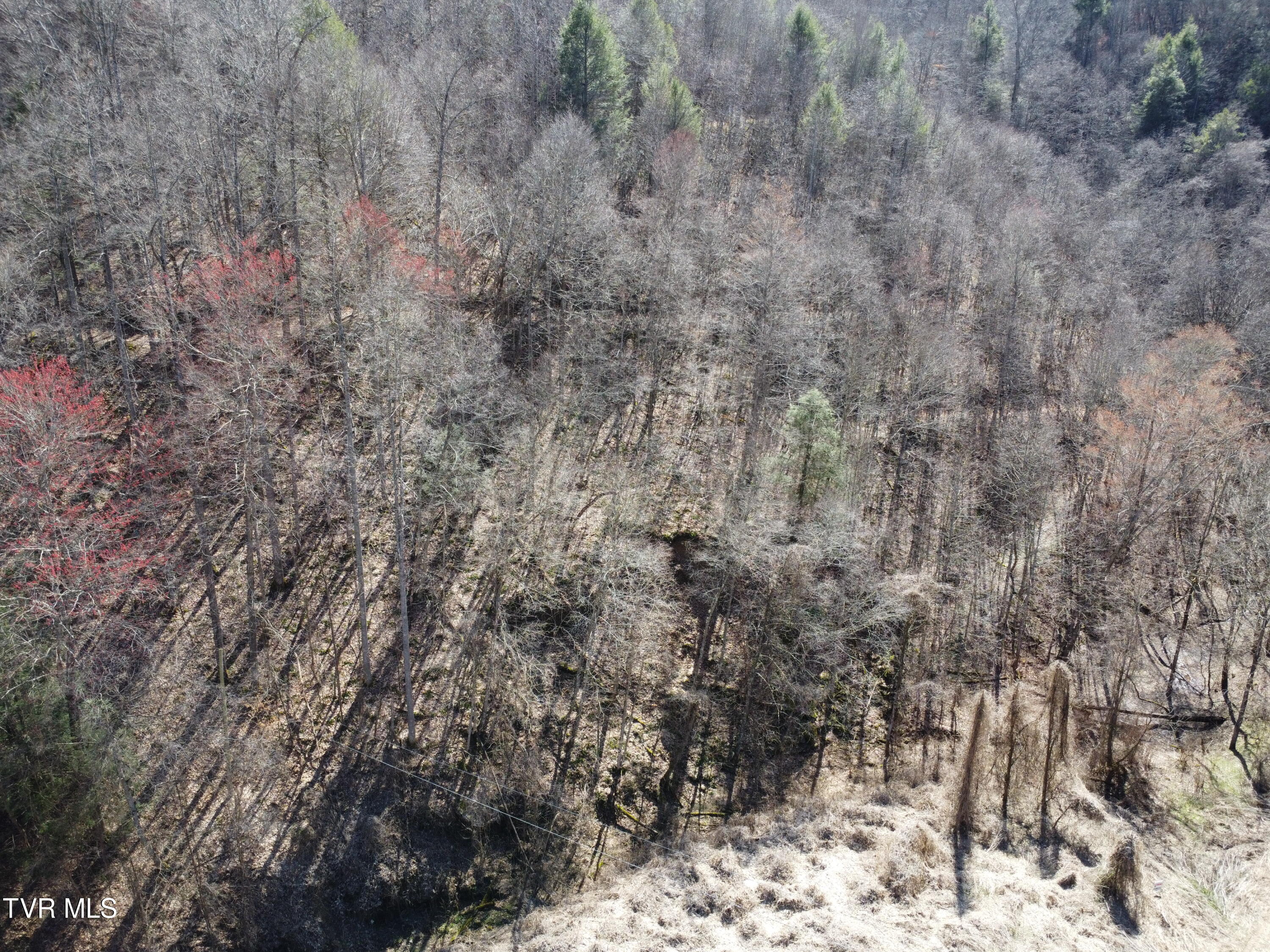 Tbd Bull Run Road Coeburn, VA 24230 - Photo 29 of 57 DJI_0594