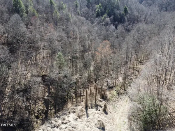 $110,000 | Tbd Bull Run Road, Coeburn, VA 24230