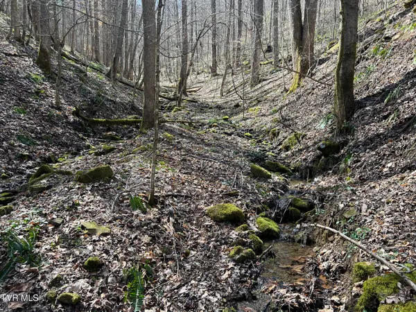 $110,000 | Tbd Bull Run Road, Coeburn, VA 24230