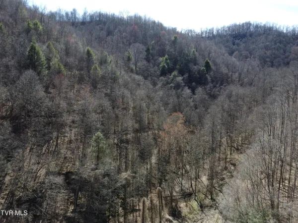 $110,000 | Tbd Bull Run Road, Coeburn, VA 24230