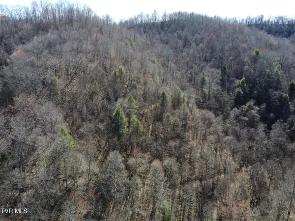 $110,000 | Tbd Bull Run Road, Coeburn, VA 24230