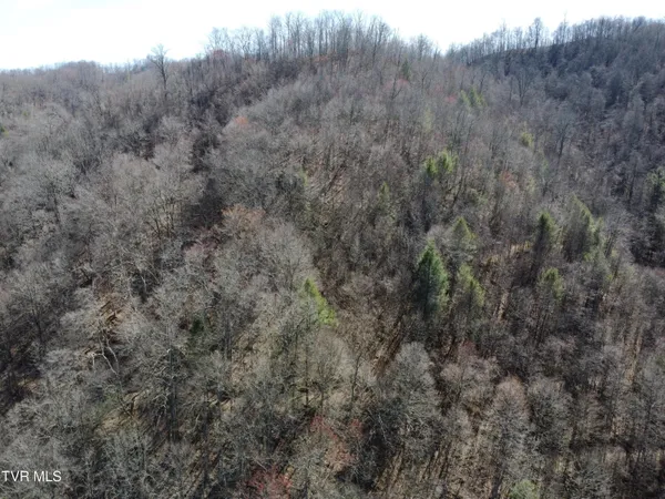 $110,000 | Tbd Bull Run Road, Coeburn, VA 24230