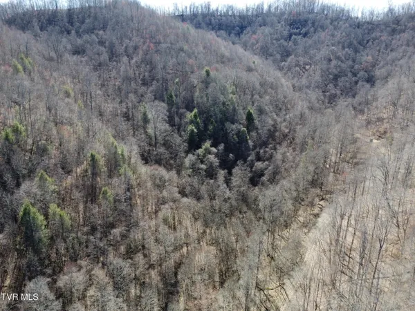 $110,000 | Tbd Bull Run Road, Coeburn, VA 24230