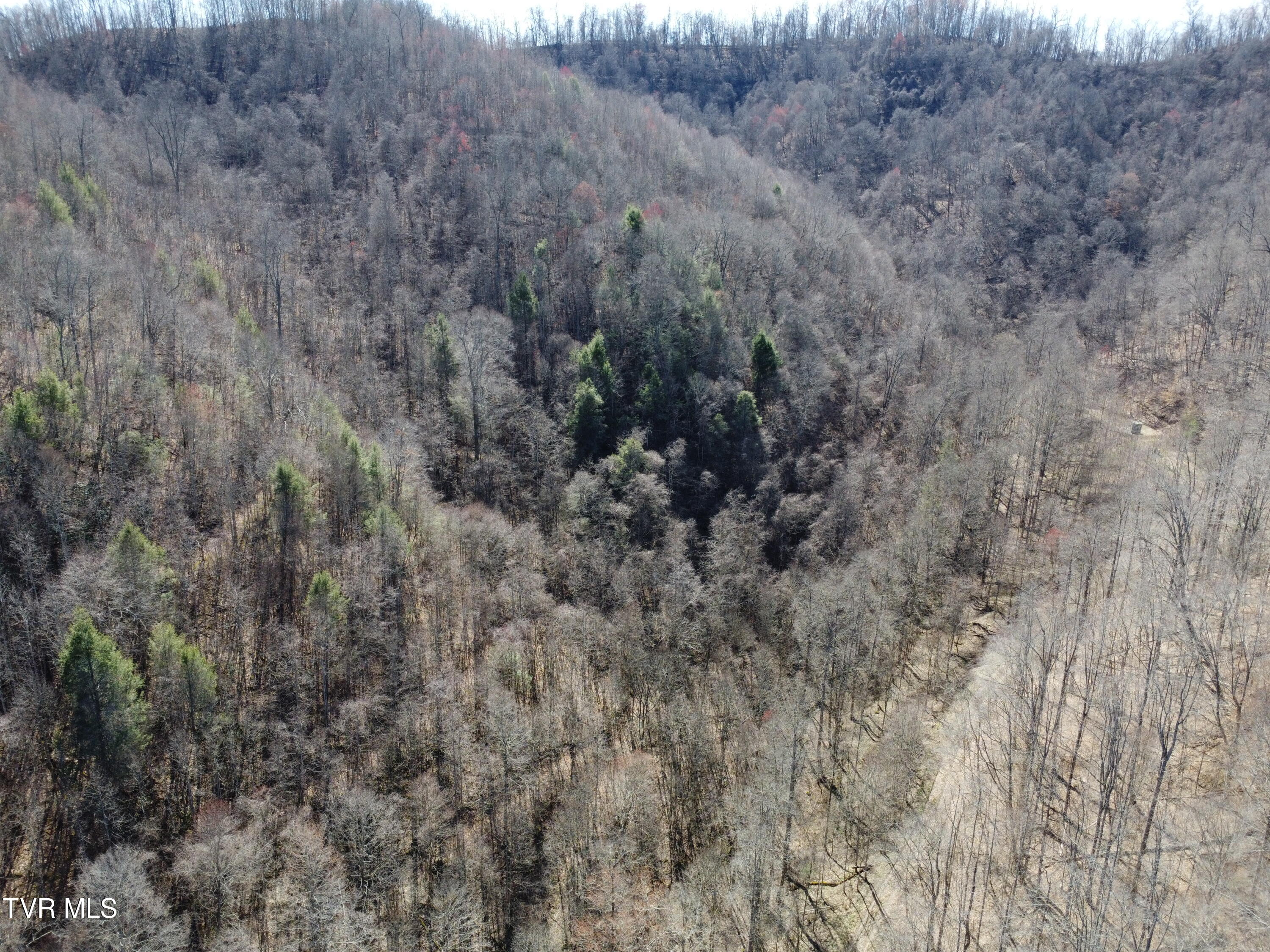 Tbd Bull Run Road Coeburn, VA 24230 - Photo 36 of 57 DJI_0608