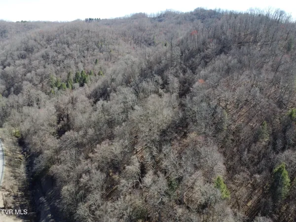 $110,000 | Tbd Bull Run Road, Coeburn, VA 24230