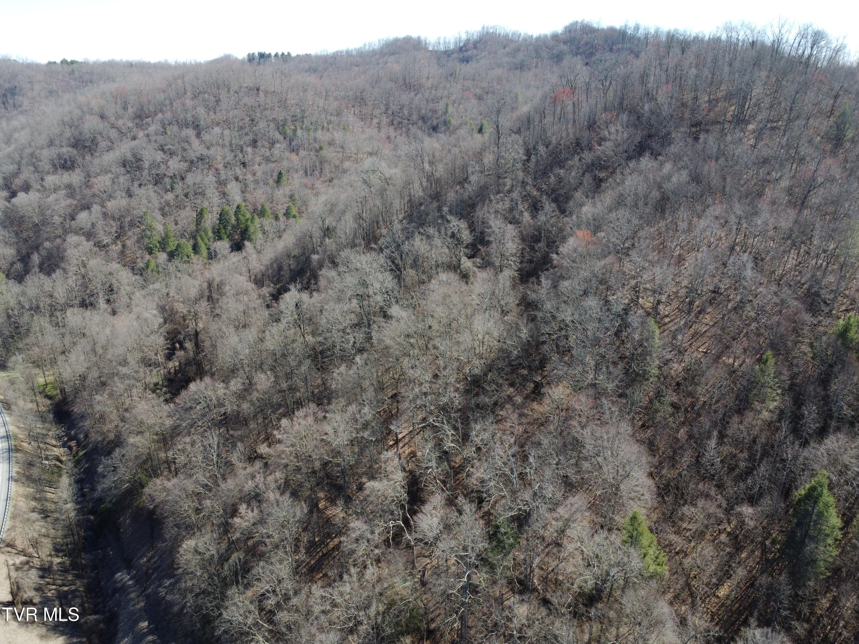 Tbd Bull Run Road Coeburn, VA 24230 - Photo 37 of 57 DJI_0613