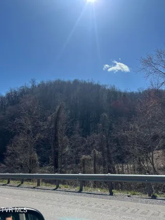 $110,000 | Tbd Bull Run Road, Coeburn, VA 24230