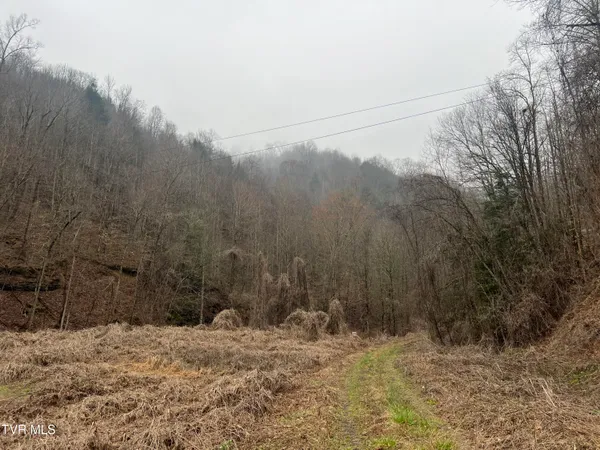 $110,000 | Tbd Bull Run Road, Coeburn, VA 24230