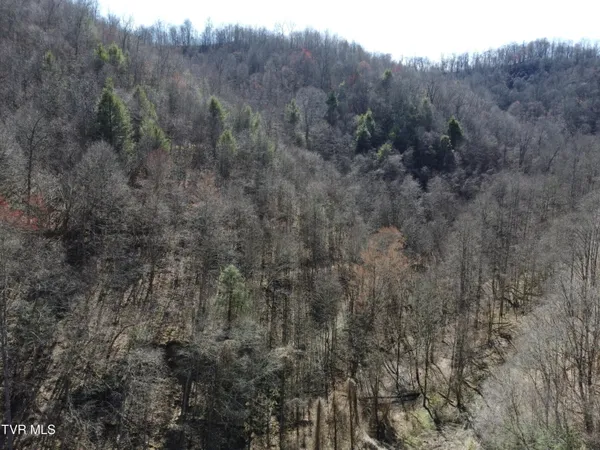 $110,000 | Tbd Bull Run Road, Coeburn, VA 24230