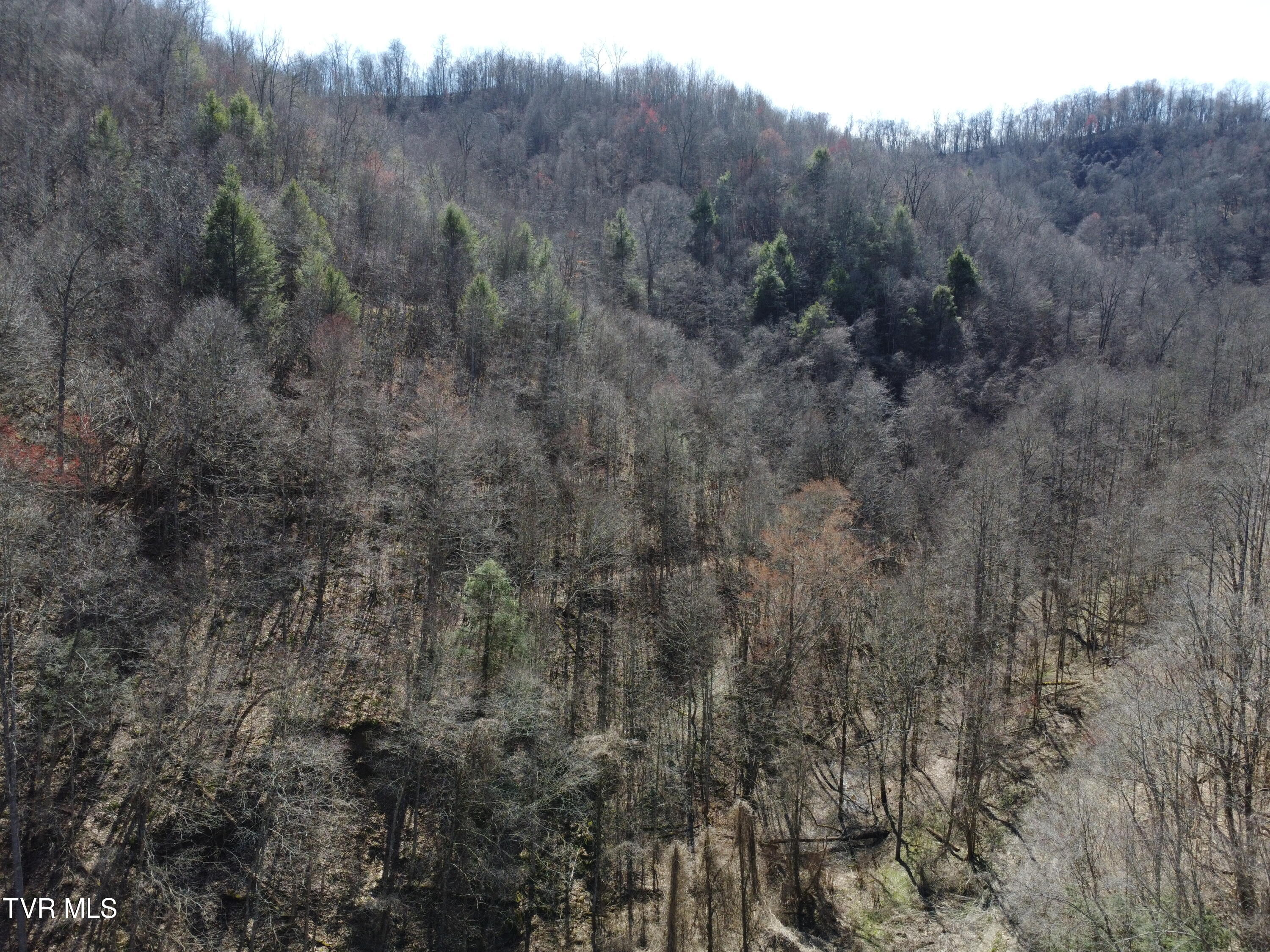 Tbd Bull Run Road Coeburn, VA 24230 - Photo 41 of 57 DJI_0597