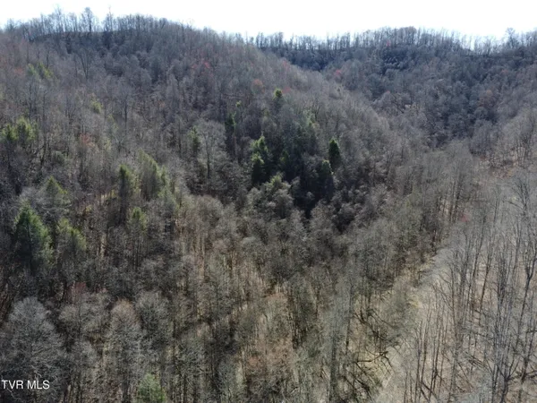 $110,000 | Tbd Bull Run Road, Coeburn, VA 24230