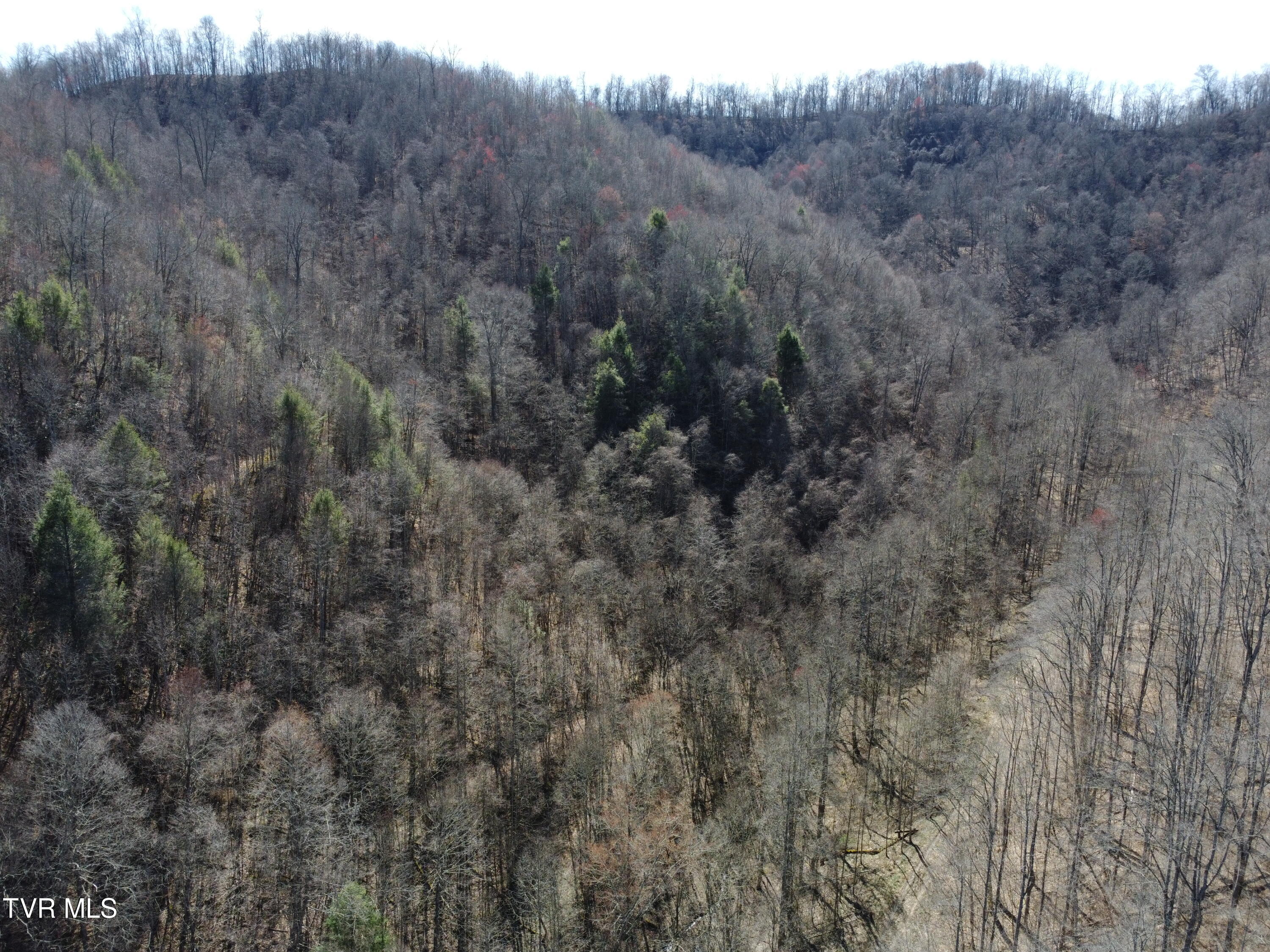 Tbd Bull Run Road Coeburn, VA 24230 - Photo 42 of 57 DJI_0598