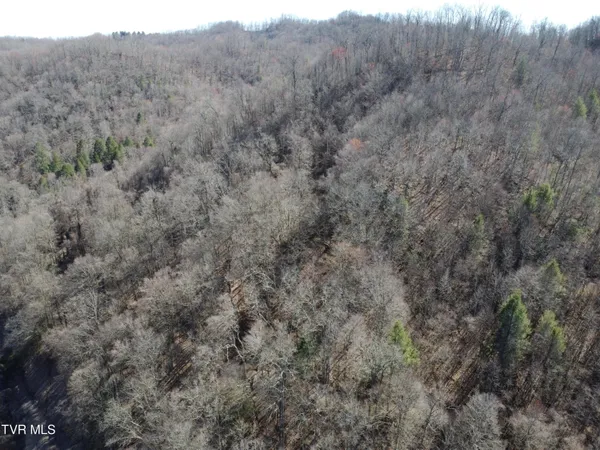 $110,000 | Tbd Bull Run Road, Coeburn, VA 24230