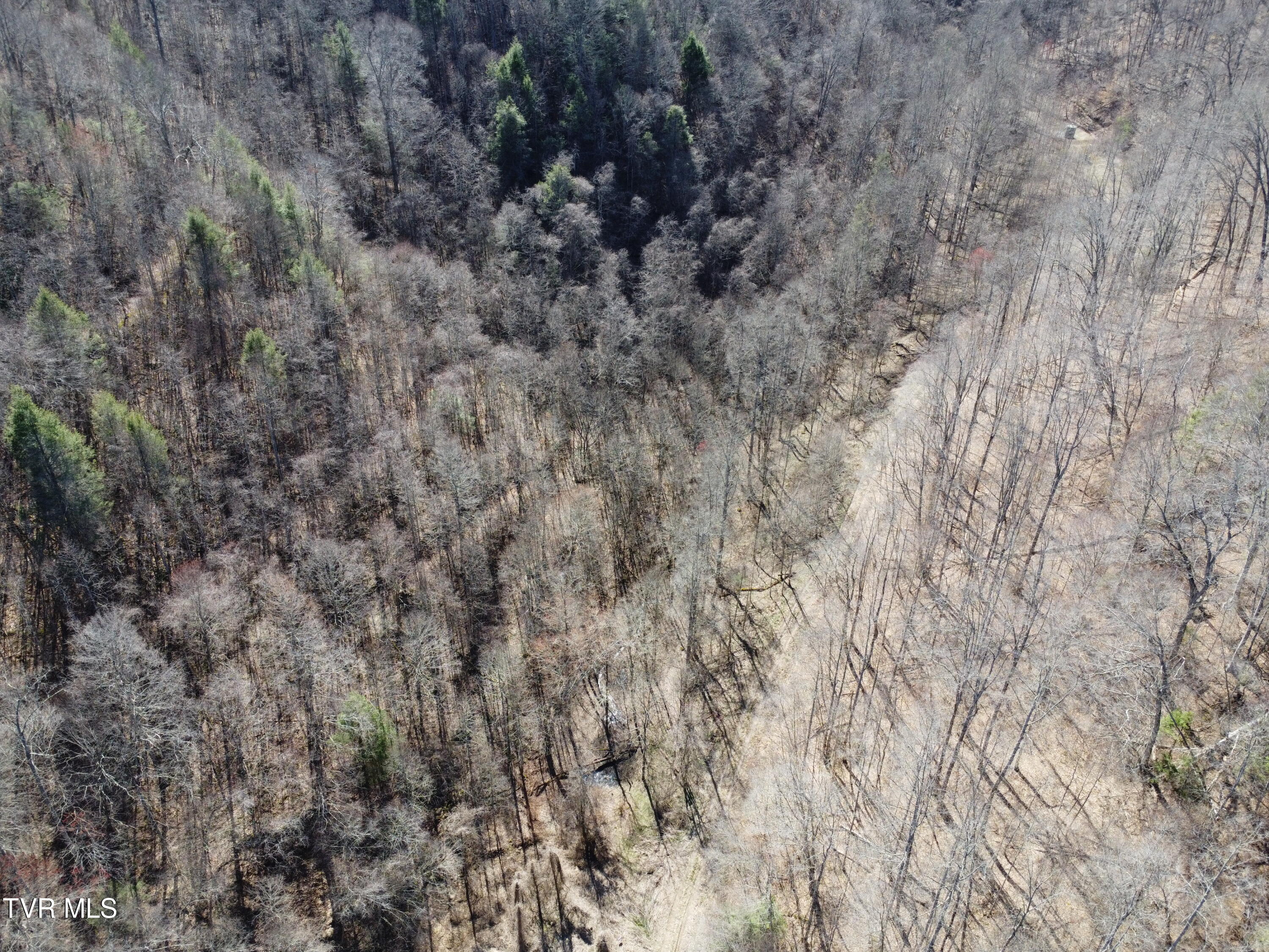 Tbd Bull Run Road Coeburn, VA 24230 - Photo 45 of 57 DJI_0619