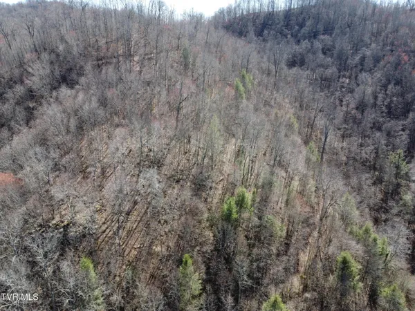 $110,000 | Tbd Bull Run Road, Coeburn, VA 24230