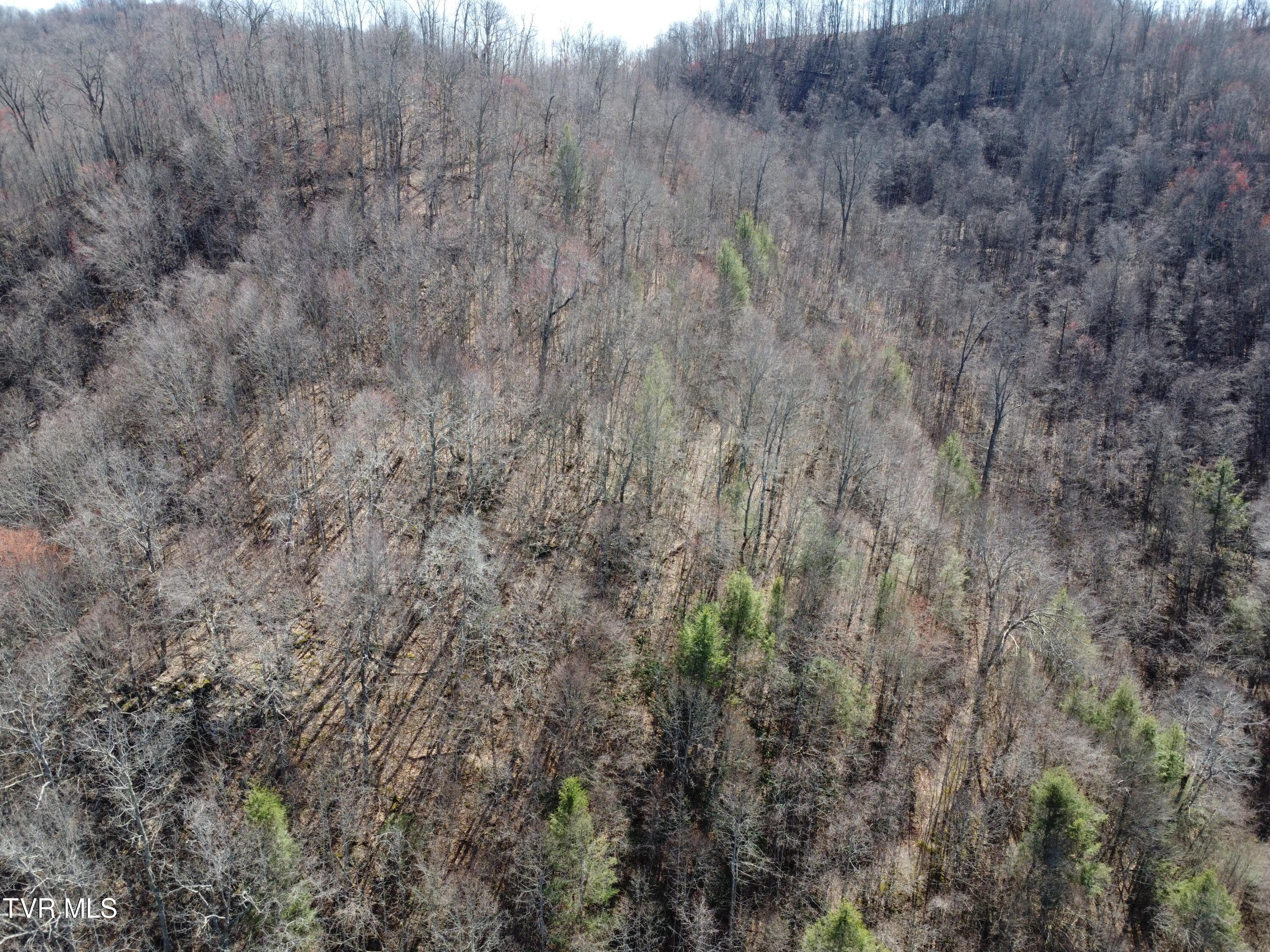 Tbd Bull Run Road Coeburn, VA 24230 - Photo 47 of 57 DJI_0627