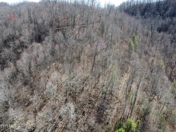 $110,000 | Tbd Bull Run Road, Coeburn, VA 24230