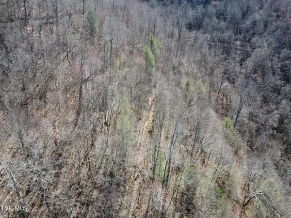 $110,000 | Tbd Bull Run Road, Coeburn, VA 24230