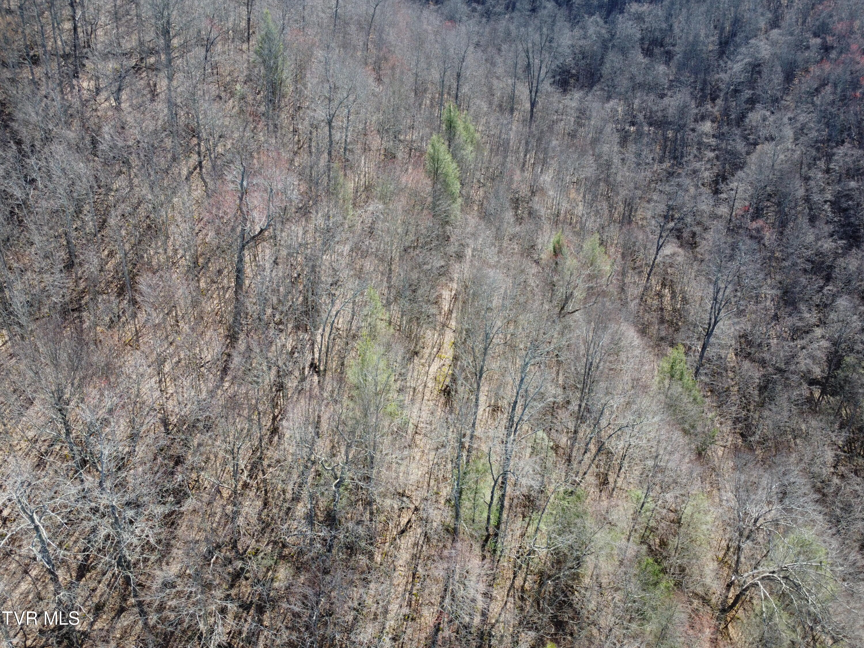 Tbd Bull Run Road Coeburn, VA 24230 - Photo 49 of 57 DJI_0632