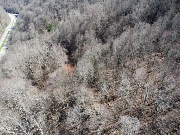 $110,000 | Tbd Bull Run Road, Coeburn, VA 24230