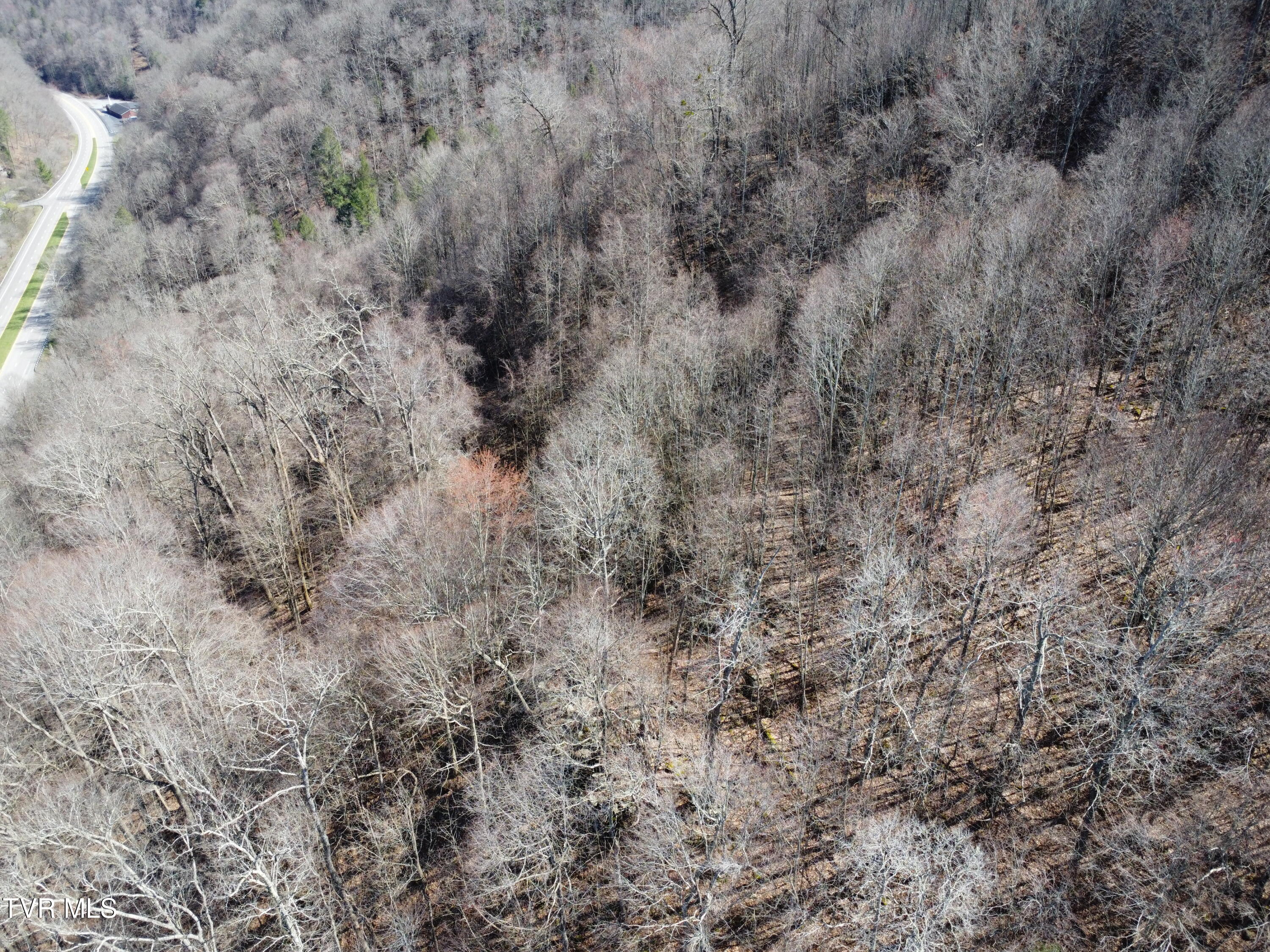Tbd Bull Run Road Coeburn, VA 24230 - Photo 50 of 57 DJI_0634