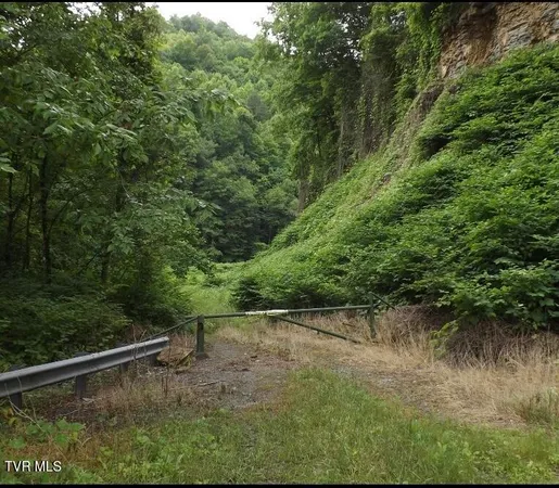 $110,000 | Tbd Bull Run Road, Coeburn, VA 24230