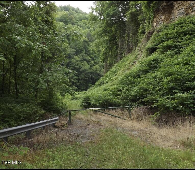 Tbd Bull Run Road Coeburn, VA 24230 - Photo 5 of 57 IMG_1776