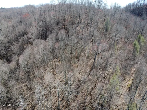 $110,000 | Tbd Bull Run Road, Coeburn, VA 24230