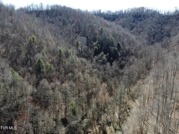 $110,000 | Tbd Bull Run Road, Coeburn, VA 24230