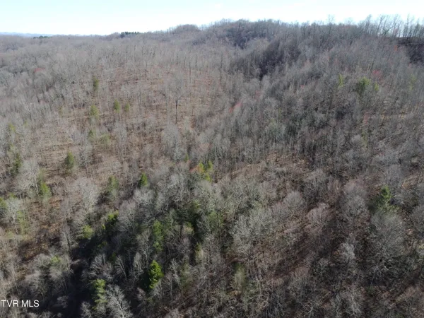 $110,000 | Tbd Bull Run Road, Coeburn, VA 24230