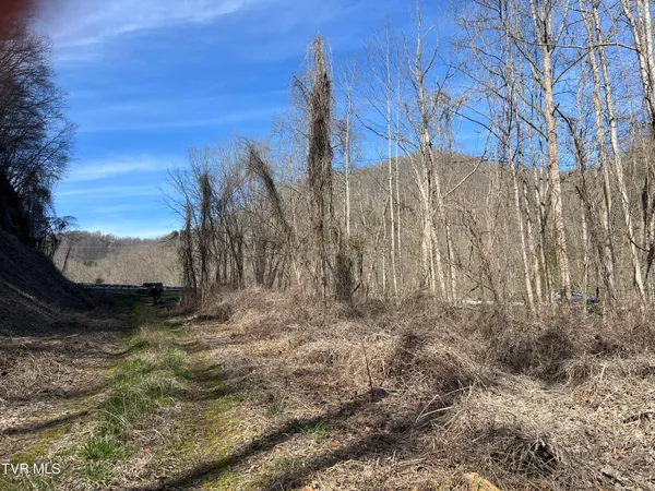 $110,000 | Tbd Bull Run Road, Coeburn, VA 24230