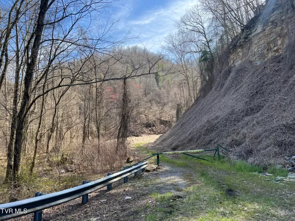 $110,000 | Tbd Bull Run Road, Coeburn, VA 24230