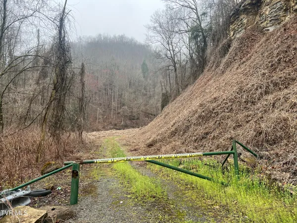 $110,000 | Tbd Bull Run Road, Coeburn, VA 24230