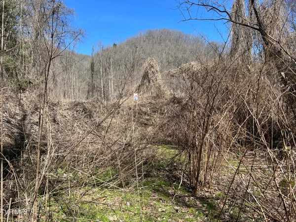 $110,000 | Tbd Bull Run Road, Coeburn, VA 24230