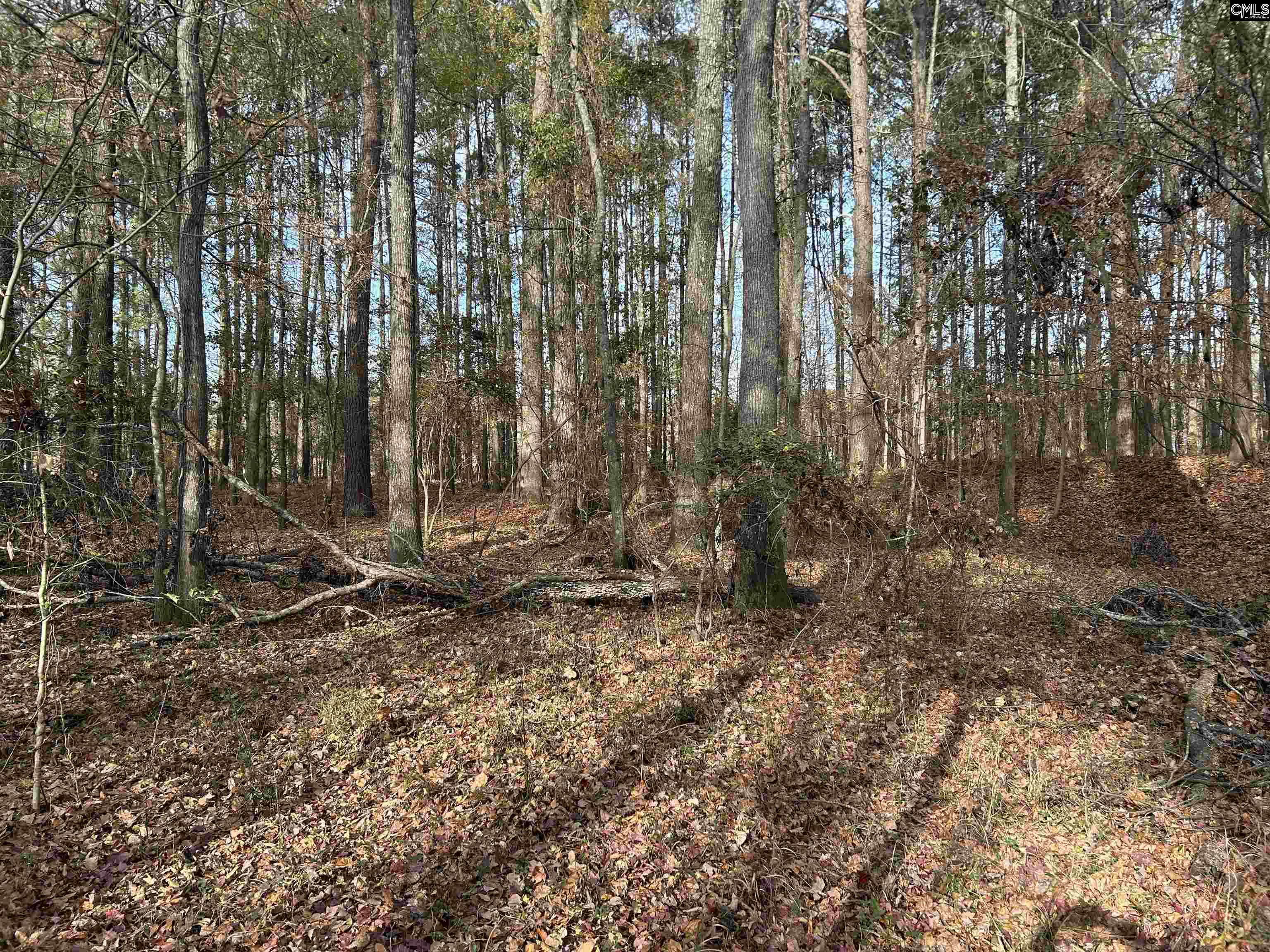 440 Paschal Road Elgin, SC 29045 - Photo 14 of 23