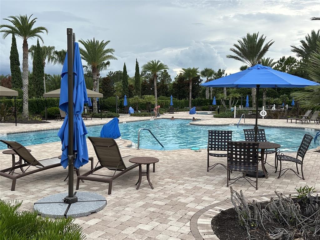 1355 Zeek Ridge Street Clermont, FL 34715 - Photo 24 of 24