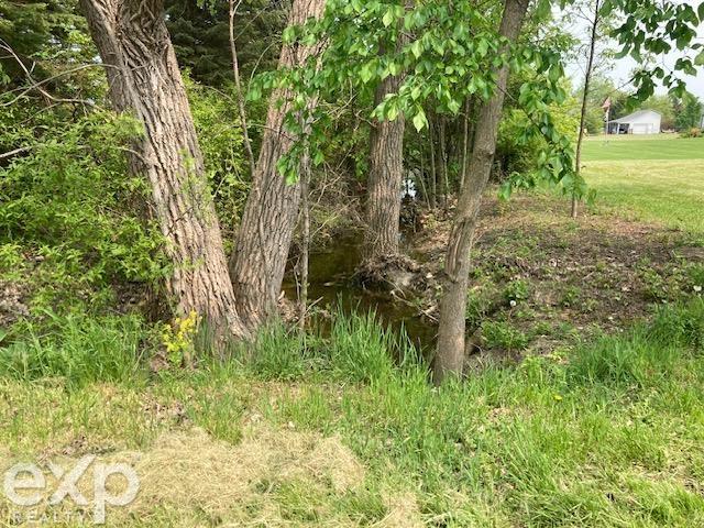 0 Walker Road North Street, MI 48049 - Photo 8 of 17