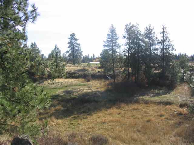 29830 South Pine Springs Road Cheney, WA 99004 - Photo 6 of 9