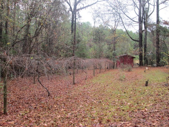 1908 Montpelier Road Forsyth, GA 31029 - Photo 10 of 34 Additional Photo