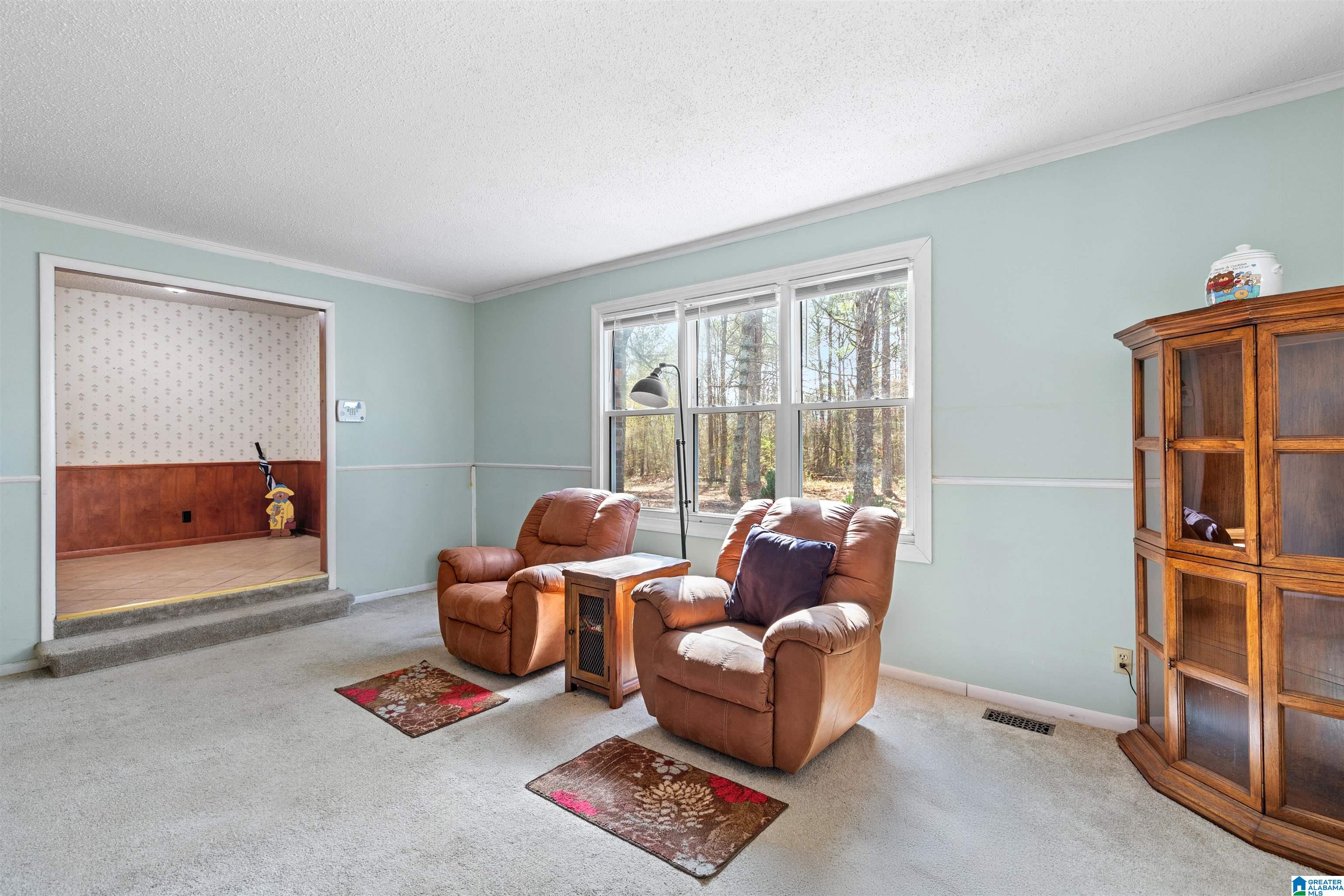 3606 Bethsaida Road Boaz, AL 35957 - Photo 7 of 44