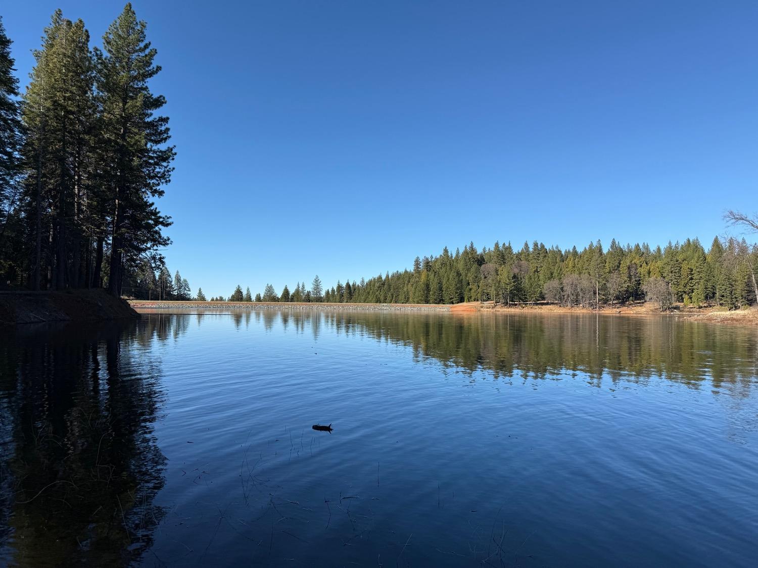 1833 Sams Lane Pollock Pines, CA 95726 - Photo 11 of 23 a view of lake