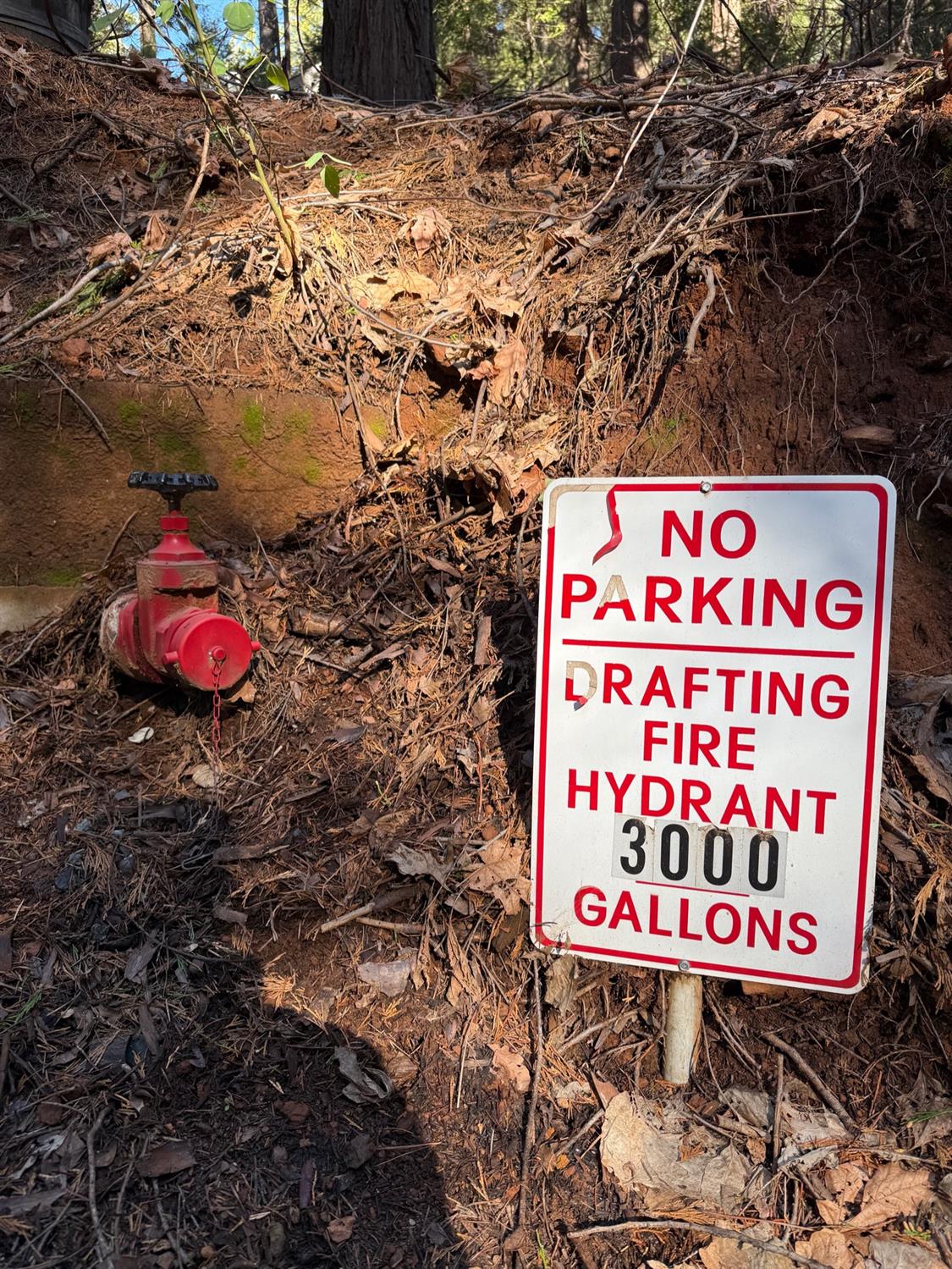 1833 Sams Lane Pollock Pines, CA 95726 - Photo 12 of 23 a sign that is sitting on a brick wall