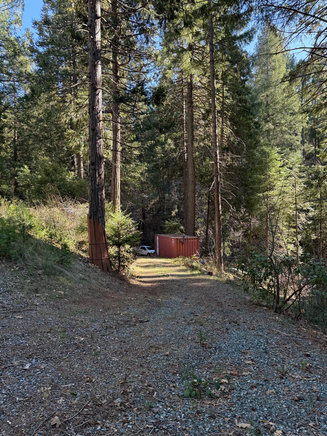 1833 Sams Lane Pollock Pines, CA 95726 - Photo 2 of 23 a view of a park with large trees