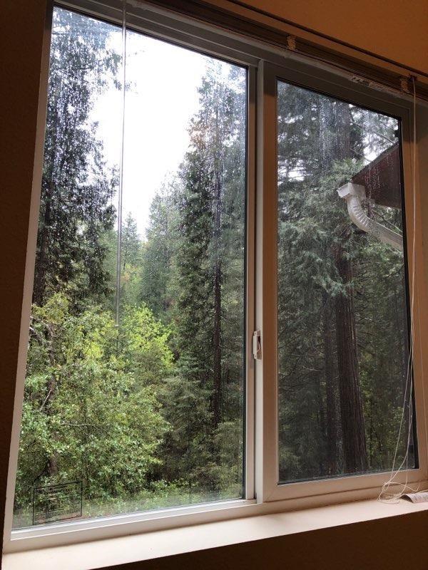 1833 Sams Lane Pollock Pines, CA 95726 - Photo 23 of 23 a view of a window