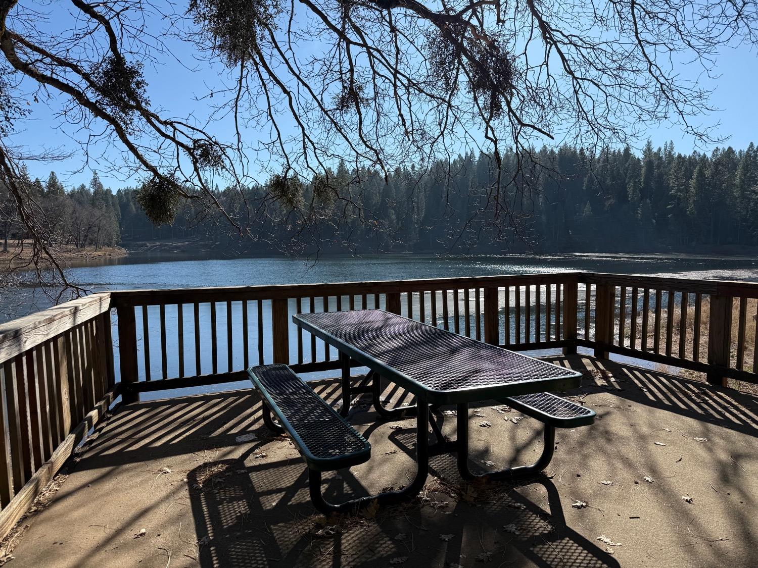 1833 Sams Lane Pollock Pines, CA 95726 - Photo 9 of 23 a view of a chairs and table on the deck