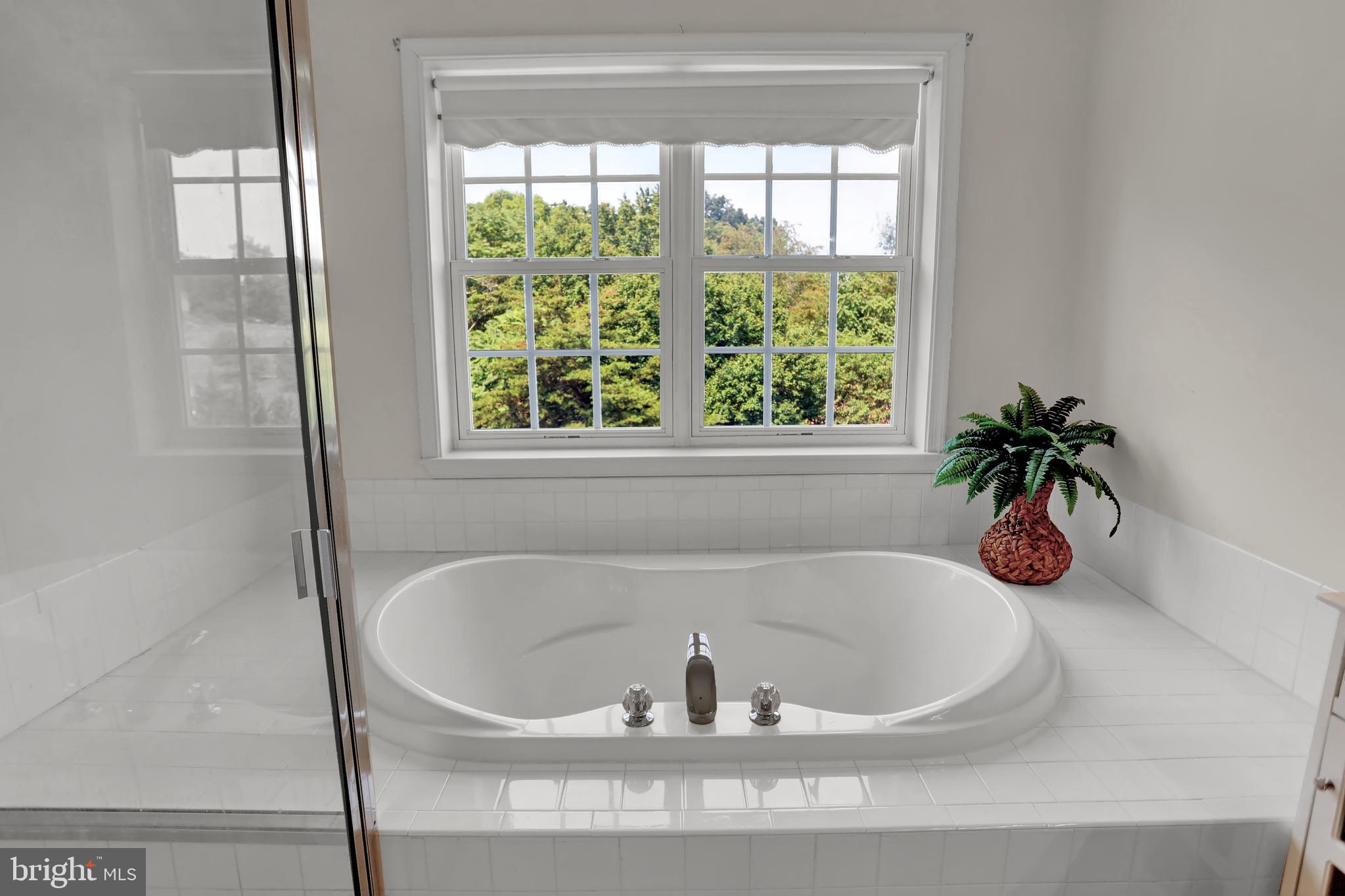 3207 Liberty Road New Windsor, MD 21776 - Photo 38 of 45 relax in this soaking tub