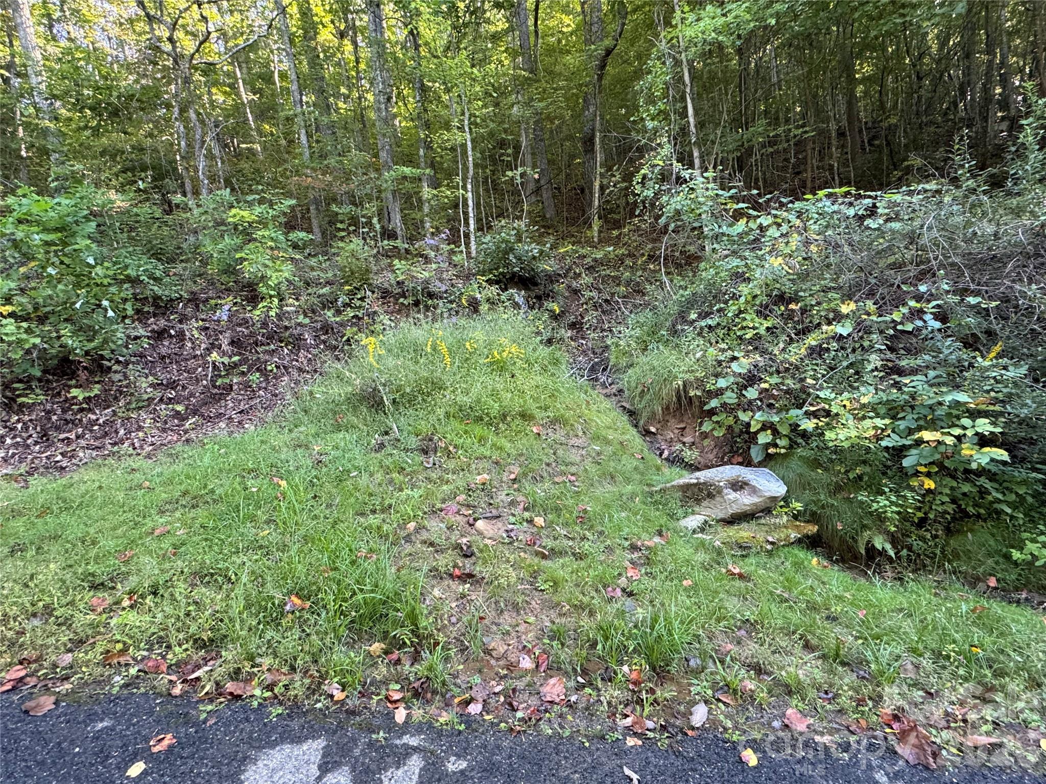 Tbd Red Oak Forest Road Fairview, NC 28730 - Photo 1 of 9 a view of outdoor space and green space